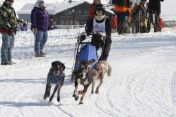 Lenk 2012 SM